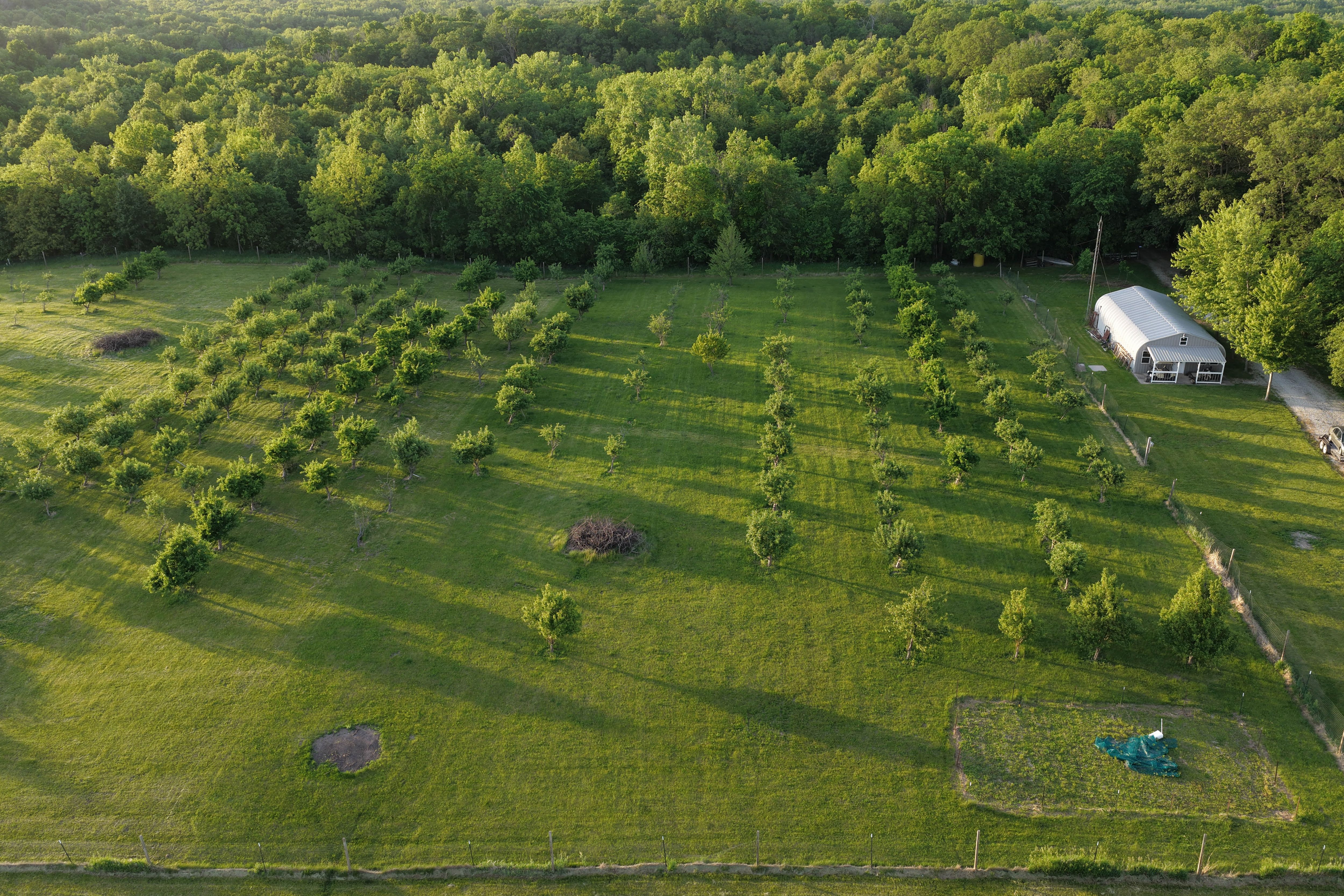 Listing Photo: Washington County Iowa Recreational Land For Sale-47